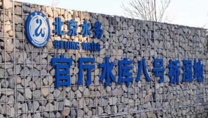 官厅水库8号桥湿地